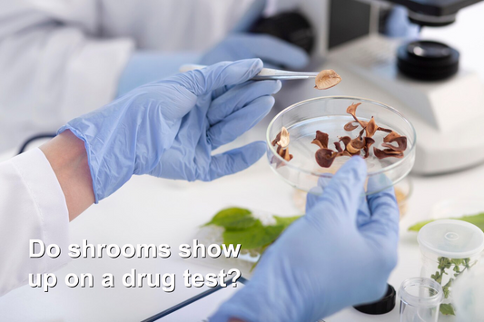 Scientist holding a pad with shrooms and taking it for testing