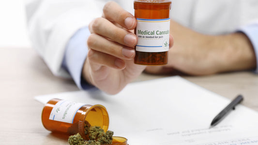 Doctor Hand Holding Bottle with Medical Marijuana and Opened Bottle with Cannabis on the Table
