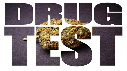 Drug Test, Marijuana