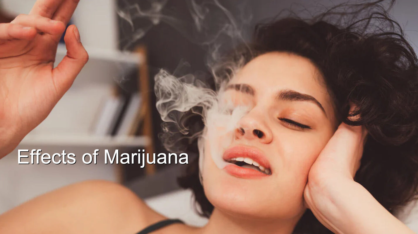 Effects Of Marijuana On Your Body - Exploro Blog