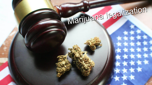 Cannabis and a Judge Gavel on American Flag to Show Actual Question of Marijuana Drug Legalization in the United States