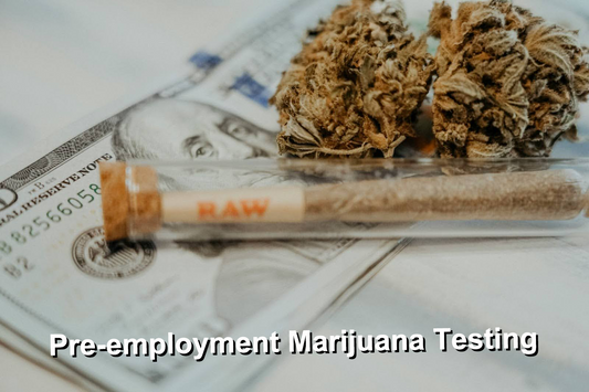 Pre-employment Marijuana Testing 2024: Everything You Need to Know