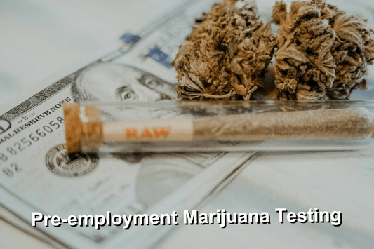 Pre-employment Marijuana Testing 2024: Everything You Need to Know - Exploro