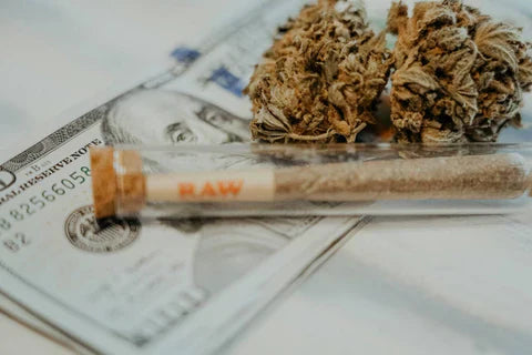 Pre-employment Marijuana Testing 2026: All You Need to Know