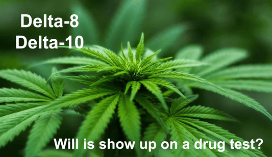 Will Delta 8 and Delta 10 Show up on a Drug Test