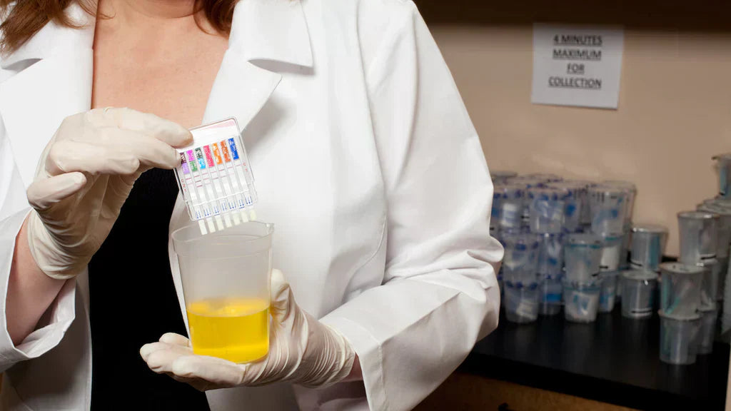 Controlled Substance Testing What Are the Different Panel Drug Tests - A Full Breakdown