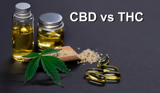 CBD vs THC