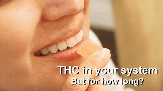 How Long Does 0.3% THC Stay in Your System
