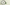 How Long Does It Take to Get Below 50 ng/mL on a THC Urine Test?