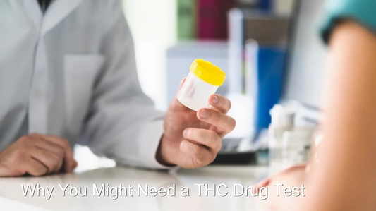 Laboratory Worker Giving a Urine Test Cup to the Woman Being Drug Tested for THC