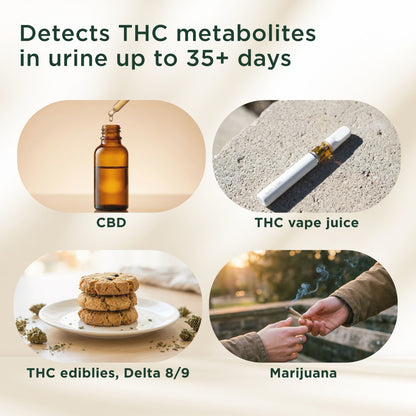 Exploro At Home THC Urine Drug Test Kit, 15 Strips, 50 ng/ml